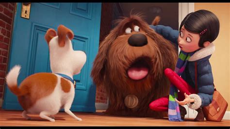 rule 34 the secret life of pets|Rule 34 / katie.